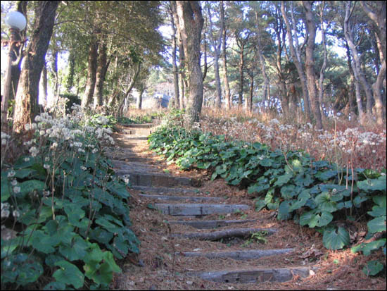 계단을 오르며 